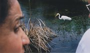 007-Everglades National Park